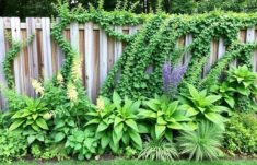 Cómo camuflar una valla antiestética con plantas: transforma tu jardín paso a paso