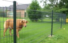 Der Doppelstabmattenzaun: la elección popular para cerramientos modernos