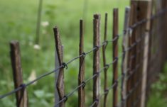 Der Zaun im Gedicht: Literarische Betrachtungen — El cerco, la valla y la palabra poética