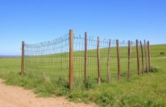 Zaun als Element der Landart: Cuando la cerca deja de ser límite y se convierte en paisaje