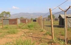 Vallas en campos de refugiados: barreras físicas, dilemas humanos