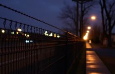 Les clôtures électrifiées : usage et législation en détail