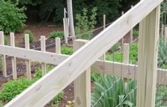Zaun für den Gemüsegarten: Schutz vor Wildtieren