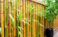Clôtures en bambou : l’option écologique pour un jardin naturel et élégant