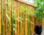 Clôtures en bambou : l’option écologique pour un jardin naturel et élégant