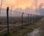 Fences for Disaster-Prone Areas: How to Protect Your Property from Floods and Fires