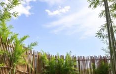 Bambuszäune : Une Alternative Écologique pour votre Jardin