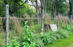 Clôtures végétales : Des barrières naturelles pour un jardin vivant et esthétique
