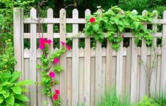 Zaun als Rankhilfe : Pflanzen und Zäune harmonisch kombinieren pour un jardin époustouflant