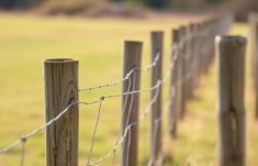 Fence Laws for Rural Properties: What Every Landowner Needs to Know