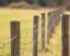 Fence Laws for Rural Properties: What Every Landowner Needs to Know