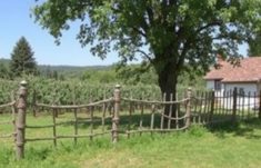 Zaun für Weinberge : Traditionelle Bauweisen et leur charme intemporel
