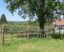 Zaun für Weinberge : Traditionelle Bauweisen et leur charme intemporel