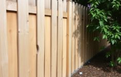 Preventing Rot and Termites in Wooden Fences: A Comprehensive Guide to Protecting Your Investment