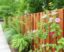 Using Plants to Enhance Fence Privacy: A Natural Way to Create Your Secluded Outdoor Space