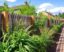 Best Fences for Windy Areas: How to Choose and Install Wind-Resistant Fencing