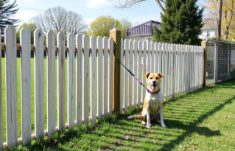 Vallas aptas para mascotas: La guía definitiva para proteger y cuidar a tus animales