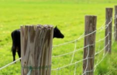 Farm Fences: Soluciones para Propiedades Rurales que Realmente Funcionan