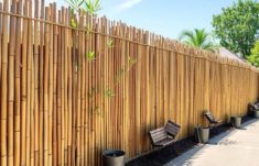 Clôtures en bambou : exotisme et résistance au service de vos espaces extérieurs