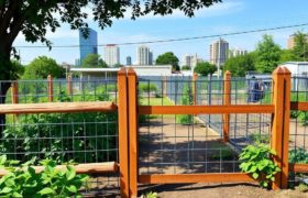Fences for Urban Farming: Essential Tips for Protecting Your City Garden