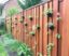 Transform Your Space: Using Fences for Vertical Gardening