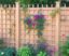 Trellis Fences for Climbing Plants: Your Ultimate Guide to a Lush Vertical Garden