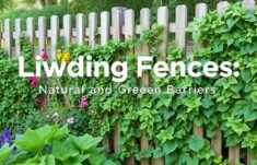 Living Fences: Barreras Naturales y Verdes que Transforman Nuestros Espacios