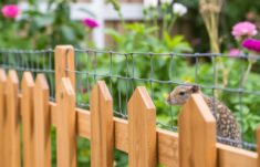 Clôtures anti-rongeurs : la protection indispensable pour votre jardin