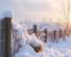 Snow Fences: How They Work to Control Winter's Chill