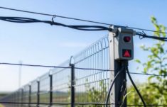 Electric Fences: Pros and Cons – Todo lo que Debes Saber Antes de Instalar una Cerca Eléctrica
