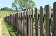 Les clôtures en bois des domaines viticoles de Bordeaux: entre tradición, funcionalidad y paisaje