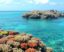 Les clôtures de corail dans les DOM-TOM: una mirada íntima a barreras vivas entre el mar y la tierra