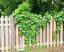 Les clôtures comme support de plantes grimpantes: cómo transformar una simple cerca en un jardín vertical lleno de vida