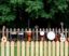 Les clôtures musicales : des instruments de percussion que transforman el paisaje sonoro