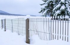 Las guardianas del invierno: Les barrières à neige au Canada y por qué importan más de lo que piensas