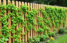 Vallas con plantas trepadoras: integrando la naturaleza en cada límite