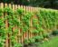 Vallas con plantas trepadoras: integrando la naturaleza en cada límite