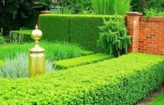 Setos y Muros de Ladrillo: El Encanto del Cercado en los Jardines Ingleses