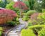 Jardines japoneses y sus bordes: barreras sutiles y naturales que transforman el paisaje