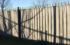Der Zaun und sein Schattenwurf: El cerco, su sombra y las historia que proyectan