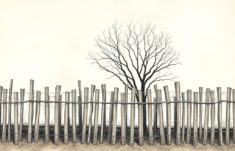 La clôture dans l'art conceptuel: cuando la barrera se convierte en idea