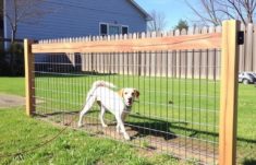 Construir una valla para mascotas con tus manos: guía completa, práctica y segura