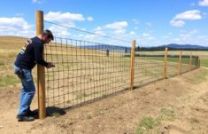 Zäune auf unebenem Gelände bauen: Guía práctica y conversacional para cercar terrenos irregulares