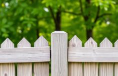 Cercas, límites y paz vecinal: cómo entender las leyes y resolver disputas entre vecinos