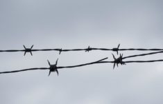 L'histoire du barbelé: la historia que atraviesa al alambre y a la humanidad