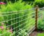 Vallas de cuerda o cabos para jardines: Elegancia sencilla que transforma tu espacio exterior