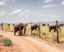 Les clôtures anti-éléphants en Afrique: barreras, soluciones y dilemas en la convivencia entre humanos y elefantes