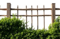 Zaun als Rahmen für eine Hecke: Cómo convertir una valla en el marco perfecto para tu seto