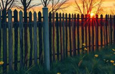 Vallas, fronteras y libertad: cómo las cercas hablan en la literatura americana