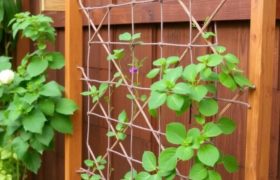 Cómo instalar una celosía para plantas tú mismo: guía práctica para transformar tu jardín